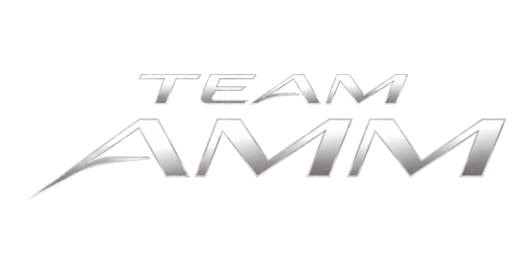 Team AMM